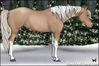 Horse Color:Silver Black Pearl Tobiano 