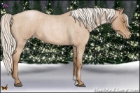 Horse Color:Silver Brown Roan Pearl 