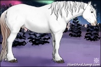 Horse Color:Brown Dun Appaloosa 