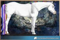 Horse Color:Painted Silver Black Blanket 