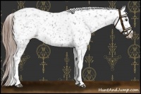 Horse Color:Liver Chestnut Snowflake Varnish