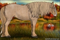 Horse Color:Red Roan Splash 