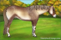 Horse Color:Red Onyx 