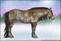 Horse Color:Sable Champagne Ice Onyx Rabicano