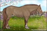 Horse Color:Liver Red Dun Sabino Rabicano