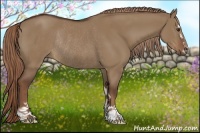 Horse Color:Liver Red Dun Sabino Rabicano 