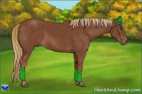 Horse Color:Chestnut  Brindle