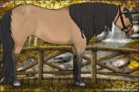 Horse Color:Bay Roan Dun 