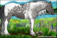 Horse Color:Grullo Tobiano 