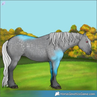 Horse Color:Silver Grullo Chinchilla 