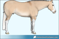 Horse Color:Silver Bay Dun Splash