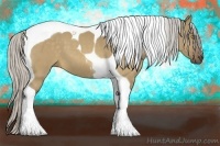 Horse Color:Silver Buckskin Dun Tobiano