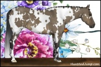 Horse Color:White Spotted Buckskin Dun