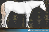 Horse Color:Smoky Black Pearl Near Leopard 