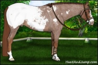 Horse Color:Red Roan Frame Snowcap 