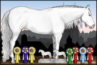 Horse Color:Gray Smoky Creme Splash Tobiano Rabicano 