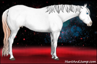 Horse Color:Bay Splash Frame Appaloosa Rabicano