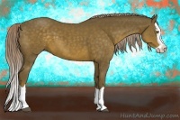 Horse Color:Chocolate Palomino Splash 