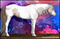 Horse Color:Liver Red Roan Tobiano Frame