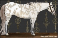 Horse Color:Buckskin Roan Dun Blanket 