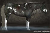 Horse Color:White Spotted Liver Chestnut Ice Tobiano