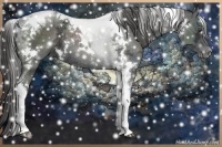 Horse Color:White Spotted Liver Chestnut Ice Tobiano Rabicano