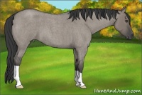 Horse Color:Smoky Grullo Roan 