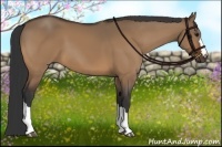 Horse Color:Bay Dun