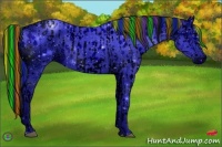 Horse Color:ERROR: UNKNOWN ANOMALY and ERROR: UNKNOWN ANOMALY