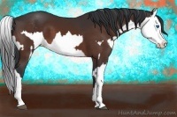 Horse Color:Bay Sabino Splash and Bay Sabino Splash