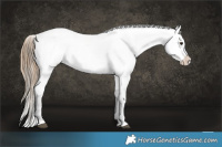 Horse Color:Liver Chestnut Ice Sabino Splash Appaloosa  and Gray Liver Chestnut Ice Sabino Splash Appaloosa 