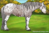 Horse Color:Brown Sabino Splash Varnish and Brown Sabino Splash Varnish