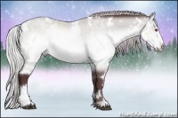 Horse Color:White Spotted Chocolate Silver Brown Chinchilla Sabino Rabicano 