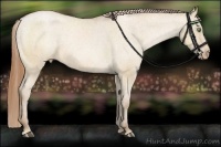 Horse Color:Bay Snowdrop Dun Varnish 