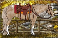Horse Color:Palomino Varnish 