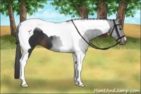 Horse Color:Liver Chestnut Tobiano 