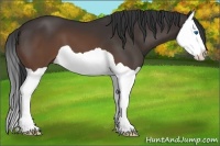 Horse Color:Brown Splash 