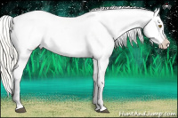 Horse Color:White Spotted Liver Chestnut Mushroom Sabino Appaloosa 