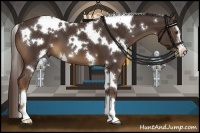 Horse Color:White Spotted Liver Chestnut Sabino 