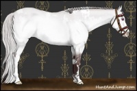 Horse Color:White Spotted Chocolate Silver Brown Chinchilla Dun Sabino 