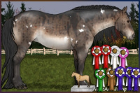 Horse Color:White Spotted Brown Dun Brindle