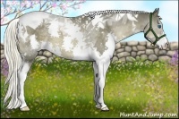 Horse Color:Liver Chestnut Splash Tobiano 