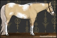 Horse Color:Silver Bay Dun Sabino Tobiano Frame Rabicano