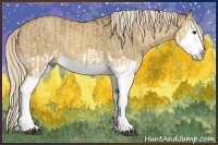 Horse Color:Chocolate Palomino Dun Splash  and Palomino Dun Splash 