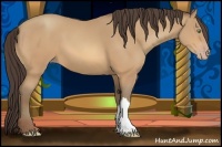 Horse Color:Amber Champagne 