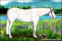 Horse Color:Cremello Dun Sabino  and Cremello Dun Sabino Appaloosa 