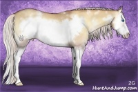 Horse Color:White Spotted Silver Classic Champagne Onyx Splash Frame Rabicano