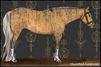 Horse Color:Buckskin and Silver Buckskin