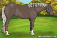 Horse Color:Silver Black 