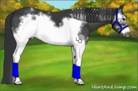 Horse Color:White Spotted Black Frame